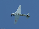 Yak 3