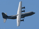 C130 Hercules (US)