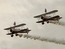 Team Guinot Wing Walking