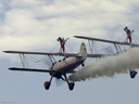 Team Guinot Wing Walking