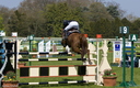 Jumping - Chantilly