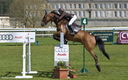 Jumping - Chantilly