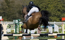 Jumping - Chantilly