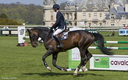 Jumping - Chantilly