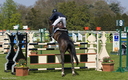 Jumping - Chantilly