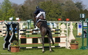 Jumping - Chantilly