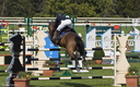 Jumping - Chantilly