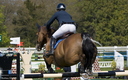 Jumping - Chantilly