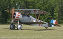 Nieuport 17