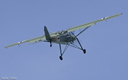 Storch