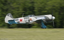 Yak 11