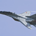 Mig 29