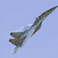 Mig 29