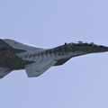 Mig 29