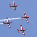 Royal Jordanian Falcons