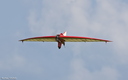 Aile volante