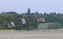 Gazelle