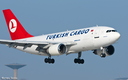 A310