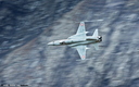 F5 Tiger