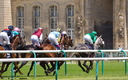 Prix de Diane 2013