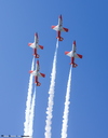 Aguila
