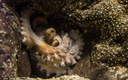 Aquarium La Rochelle
