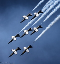 Breitling Jet Team