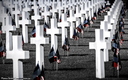 Cimetière Américain - Colleville sur Mer