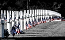Cimetière Américain - Colleville sur Mer