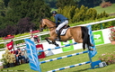 Jumping Chantilly 2014