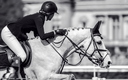 Jumping Chantilly 2014