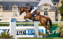 Jumping Chantilly 2014