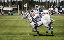 Polo - 19 avril 2015