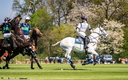 Polo - 19 avril 2015