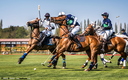 Polo - 19 avril 2015