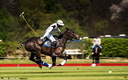 Polo - 19 avril 2015