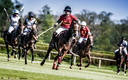 Polo - 19 avril 2015