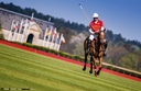 Polo - 19 avril 2015