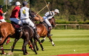 Polo - 19 avril 2015