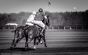 Polo - 19 avril 2015