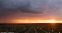 Coucher de soleil dans la pluie