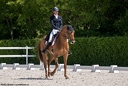 Compiègne - Championnat Départemental Amateur CSO et Dressage 2018