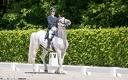 Dressage