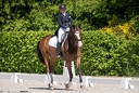 Dressage