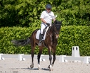 Dressage