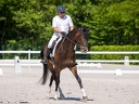 Dressage