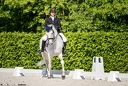 Dressage