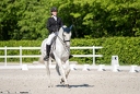 Dressage