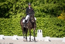 Dressage