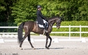 Dressage